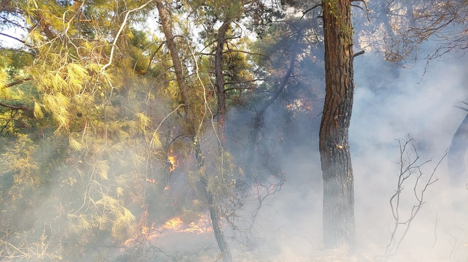 Manavgat ve Soma'daki orman yangınları kontrol altında - 1