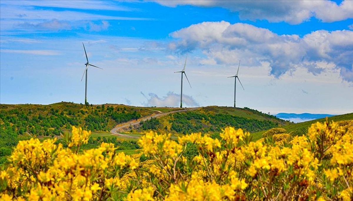 Rüzgardan elektrik üretimi rekor tazeledi