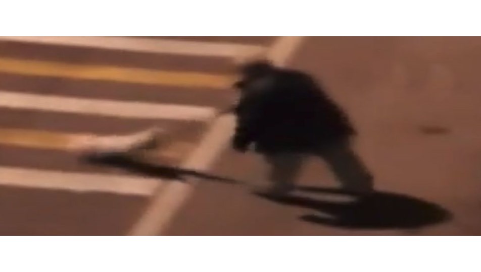 "Tutuklanması hayvanlara yönelik suçlarda emsal olabilir"
