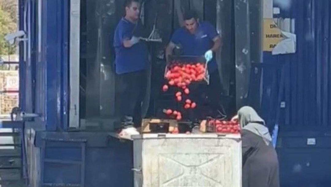 Domatesleri kasa kasa çöpe attılar: Ticaret Bakanlığı harekete geçti