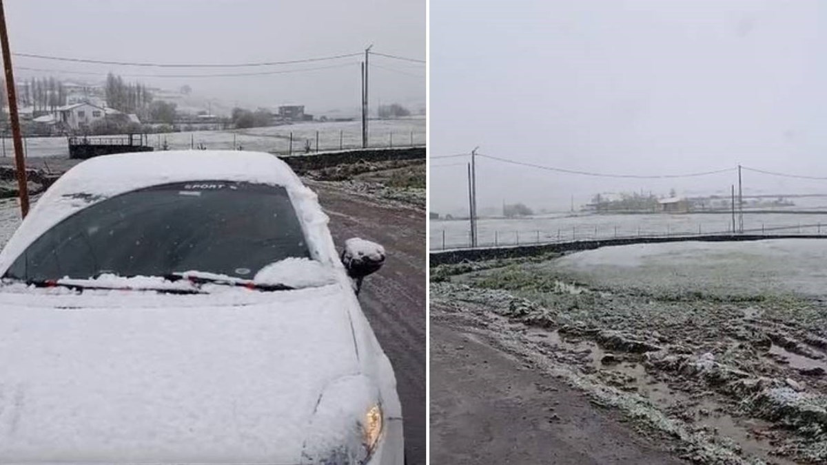 Ardahan