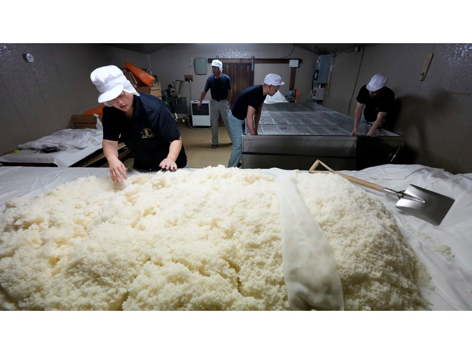 Japonya'da pirinç krizi: Kıtlık paniği başladı