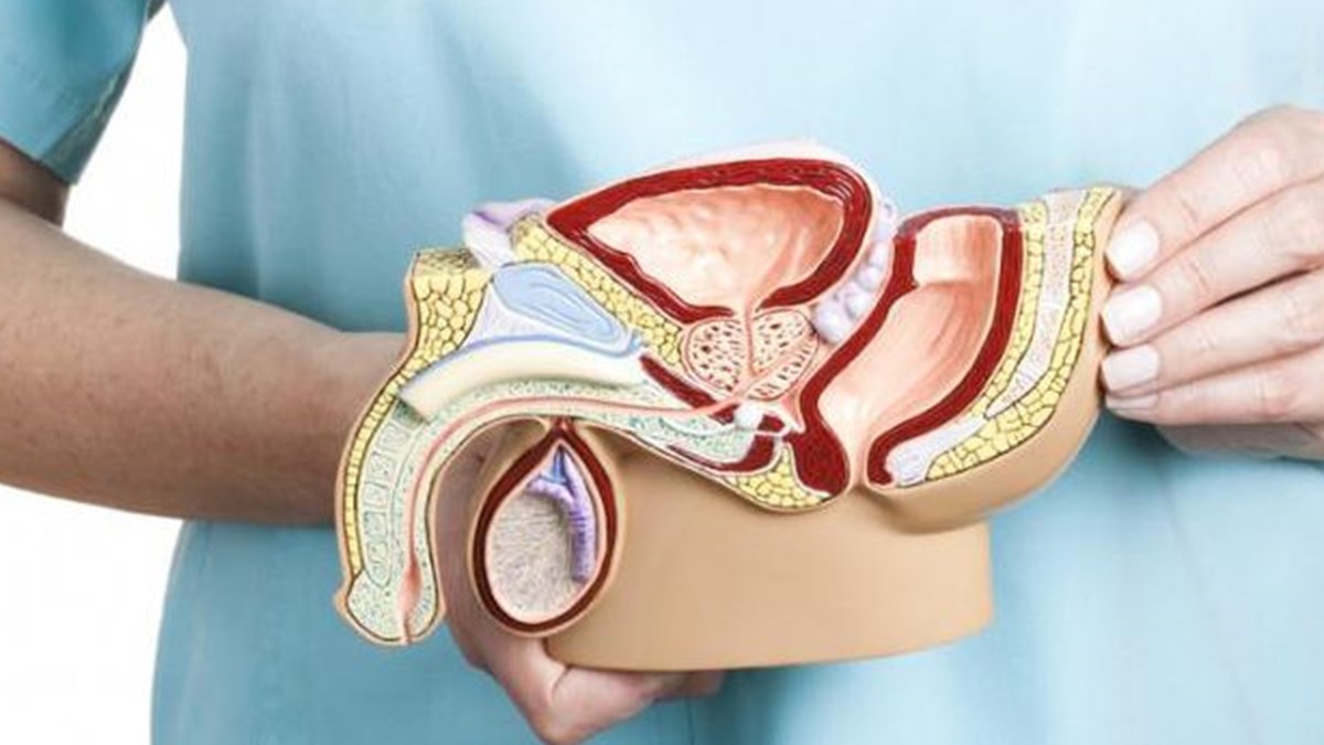 varikosel hastaliginda erken tedavi