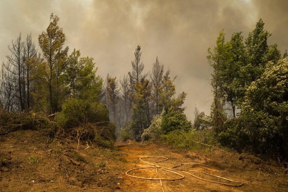 Yunanistan’da yangın felaketinin boyutları ortaya çıktı: 586 yangında 3 kişi öldü, 93 bin 700 hektardan fazla alan yandı - 20