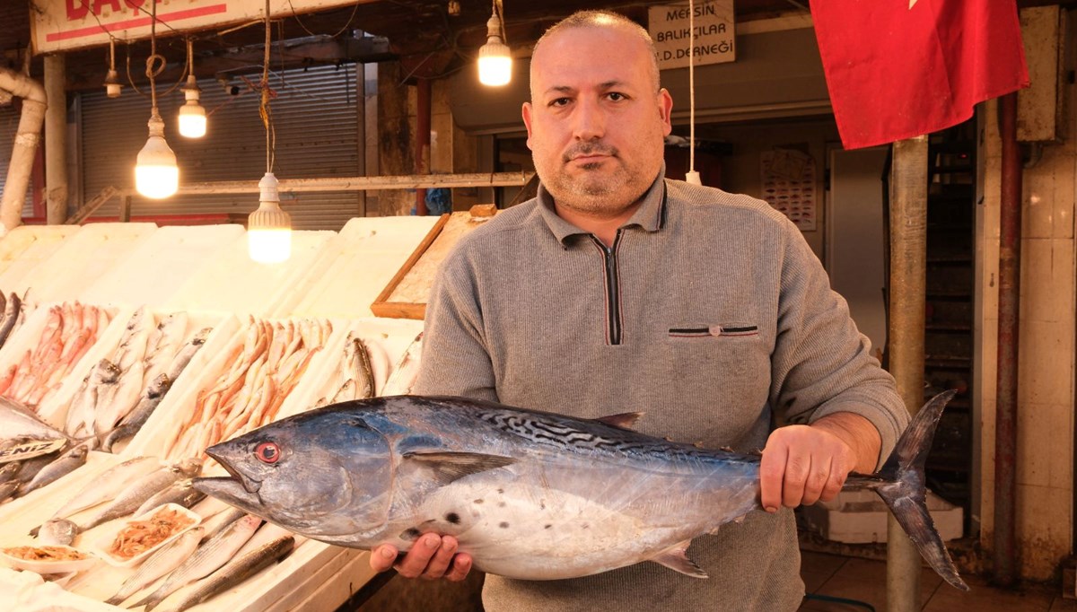 Bir metrelik torik balığı bin 500 liraya alıcı buldu Bir metrelik torik balığı bin 500 liraya alıcı buldu