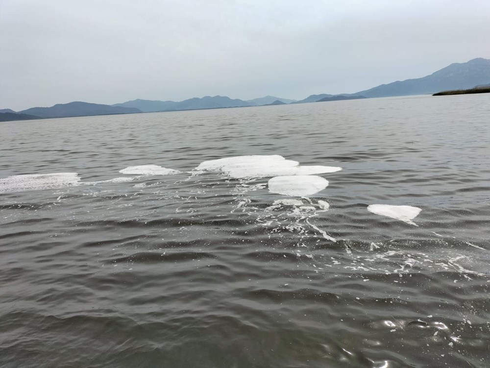 Köyceğiz Gölü’ndeki müsilaj huzursuz etti 75 nyCHyNXuSEaZCr2DdRL8yQ