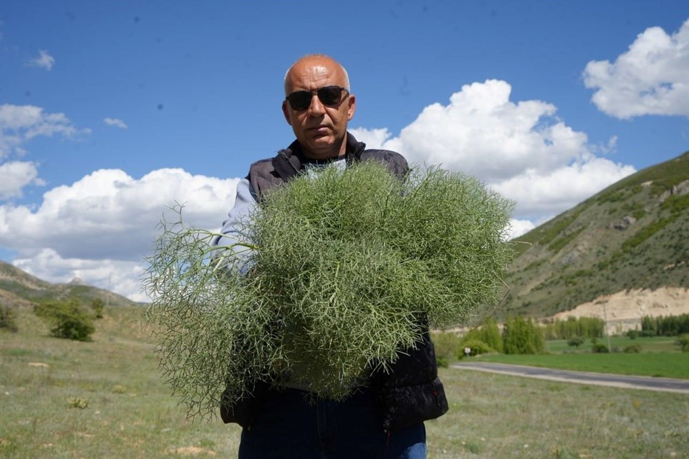 nydy4pASbkCEVz3aIkCePA