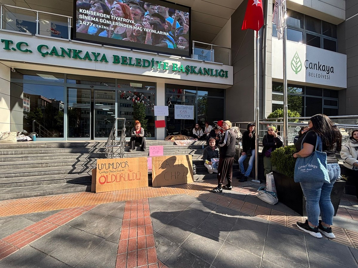 Hayvan hakları savunucuları, ölü köpeği belediye binası önüne getirdi. Hayvan hakları savunucuları, ölü köpeği belediye binası önüne getirdi.