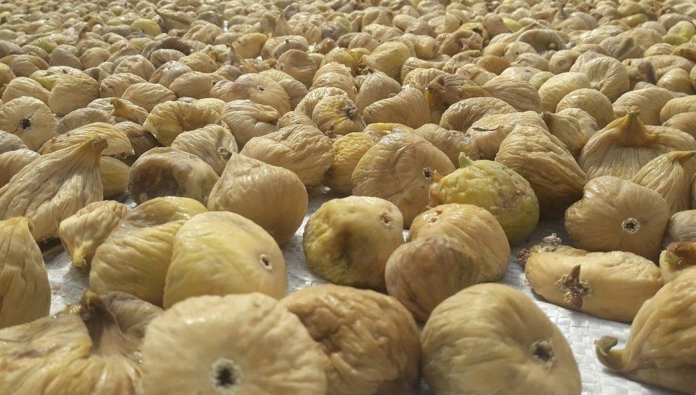 Türkiye'nin milli meyvesi: Bu yıl üreticisine tat vermedi