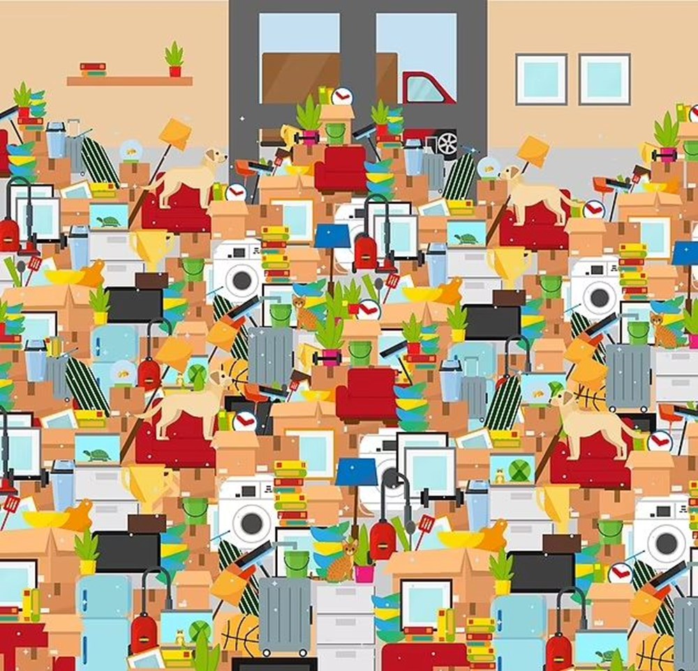 Bu görsel size kim olduğunuzu söylüyor: Resimde ilk önce hangi hayvanı gördünüz? - 17