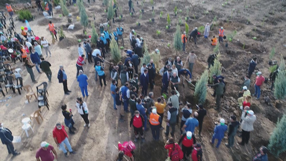 Bodrum'da yanan orman alanları yeşermeye başladı - 6