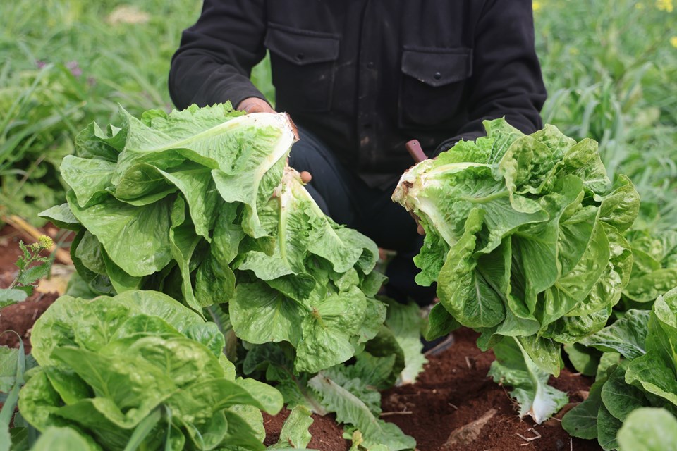 o0yMOmnWKECxIHcR5E LNQ