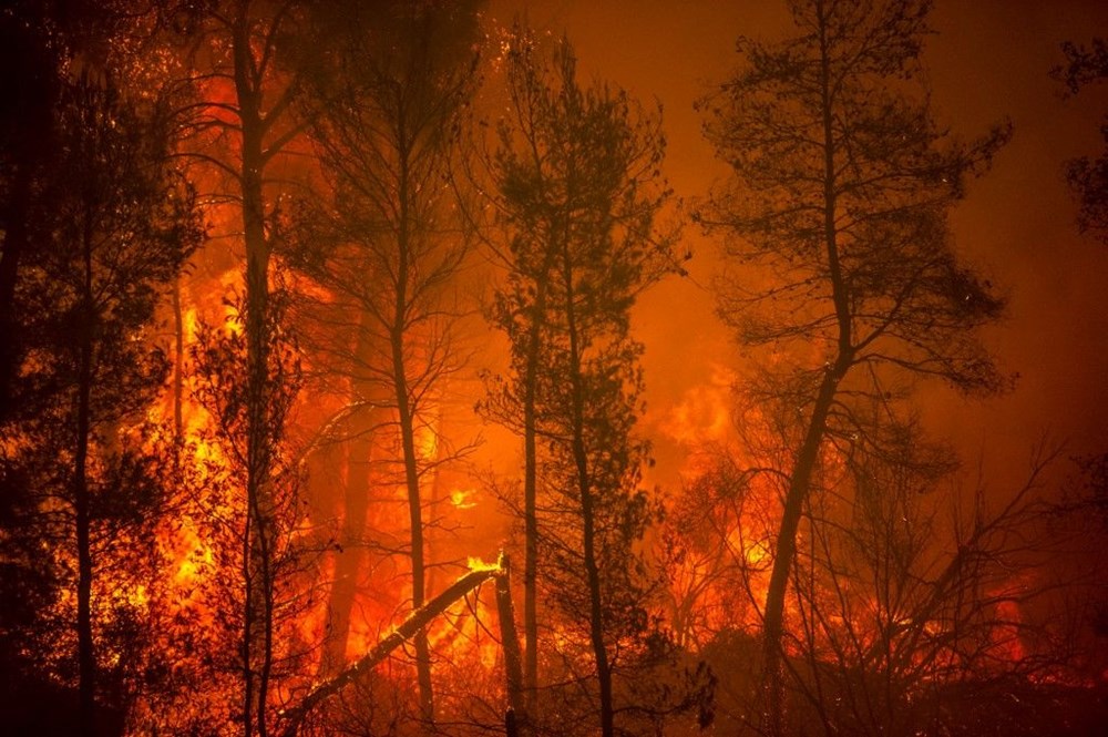 Yunanistan’da yangın felaketinin boyutları ortaya çıktı: 586 yangında 3 kişi öldü, 93 bin 700 hektardan fazla alan yandı - 7