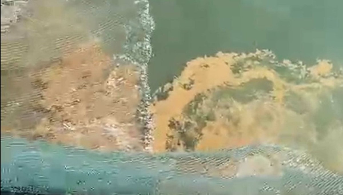 Marmara Denizi'nde görülmeye başladı:  Bu yıl tarihte ilk defa Eylül'de ortaya çıktı