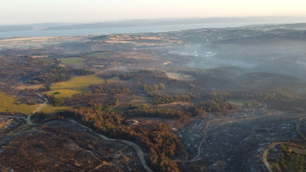 Çanakkale'de yanan alanlar havadan görüntülendi - 3