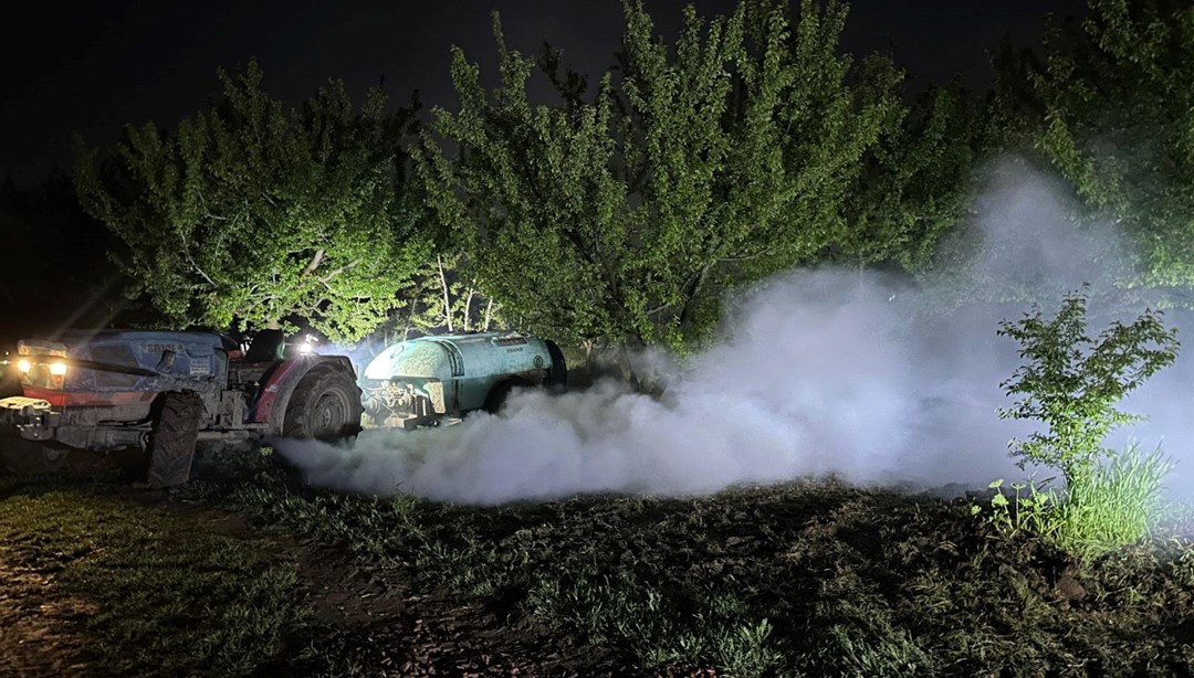 Zirai don çiftçilerin kabusu oldu