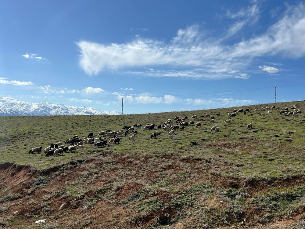 o1wgUWYYrU20gQ4mJeYjZg