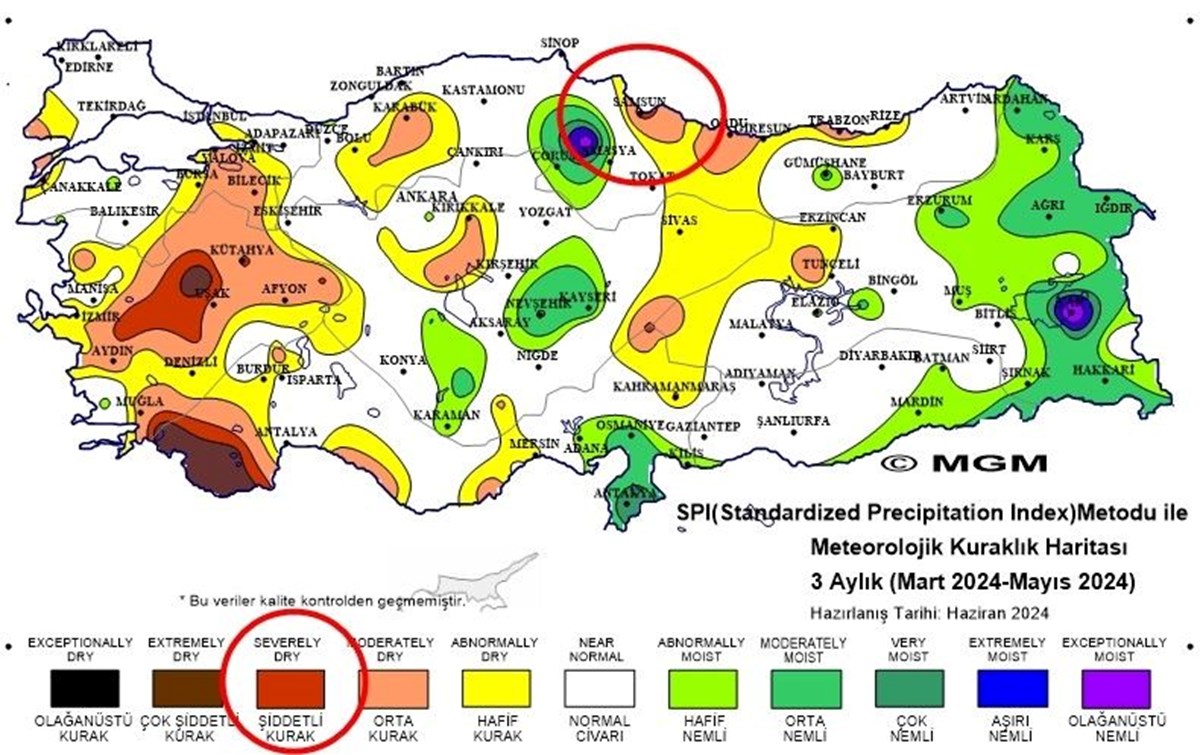 o2jWDgCgB02xDUmIm-bglw.jpg