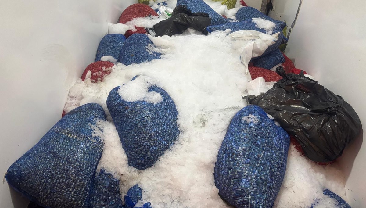 3 ton kaçak midye ele geçirildi 3 ton kaçak midye ele geçirildi