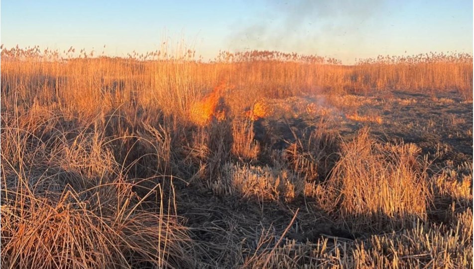 Eber Gölü'nü yakmaya çalışanlara 2,7 milyon lira ceza