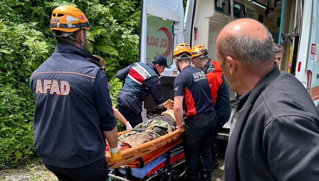 Rize’de kestiği ağacın altında kalan vatandaş yaralandı