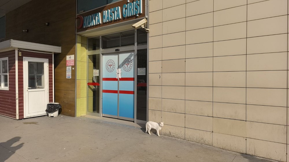 Bacağı kırılan kedi hastanenin acil servisine geldi - 2