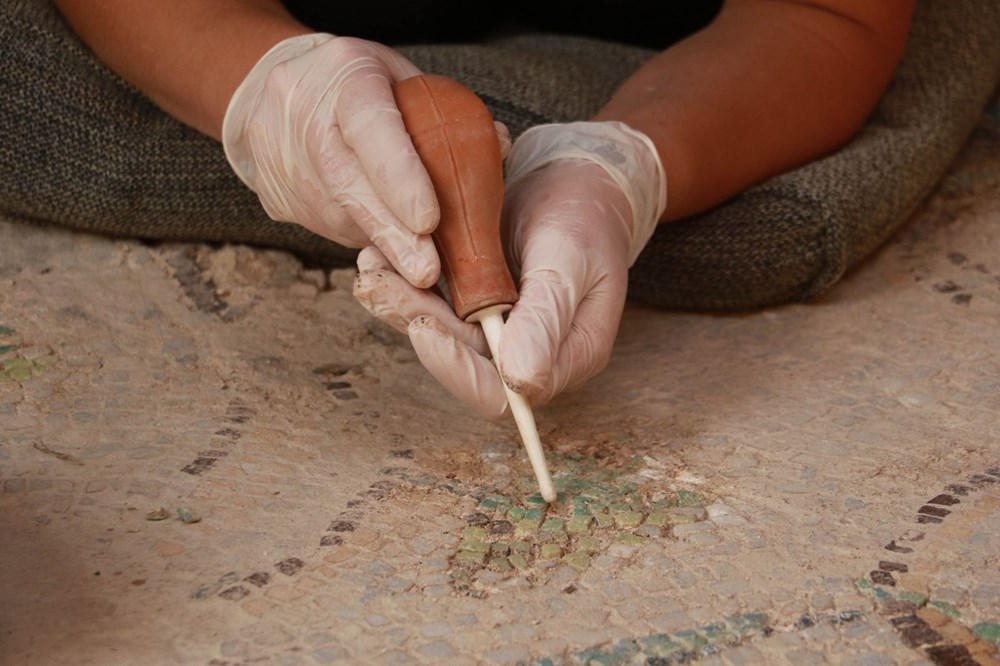 Balatlar Kazısı’nda, Zeugma'dakilere benzer mozaikler bulundu - 6