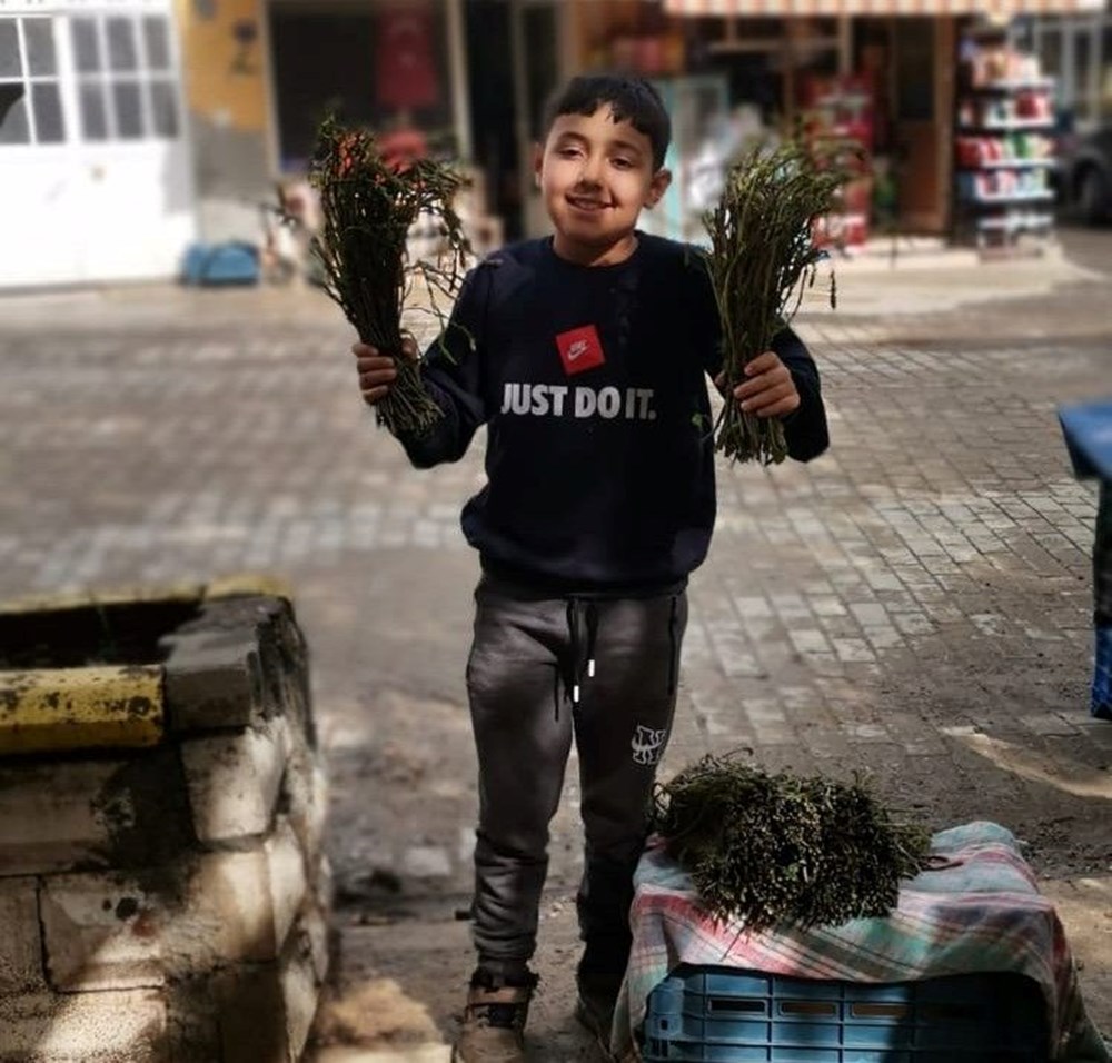 Dağlardan bedavaya toplanıyor, 100 TL'ye satılıyor: "Aydın'ın nimeti" olarak bilinen şifalı bitki 77 o701j8SV8EaL iHsonXeg