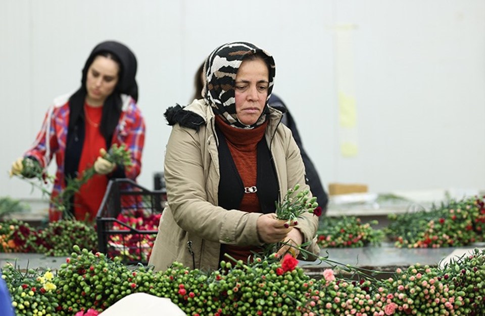Türkiye'den 7 milyon dolarlık çiçek ihracatı - 1