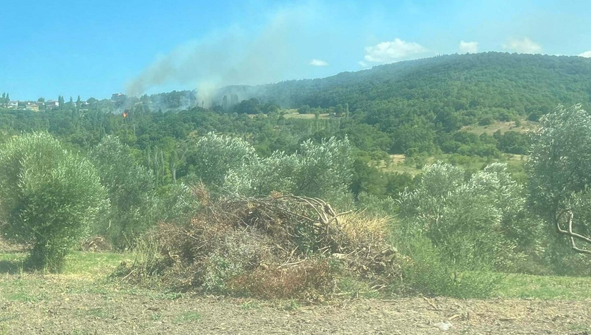 Lapseki'deki yangınının çıkış nedeni belli oldu
