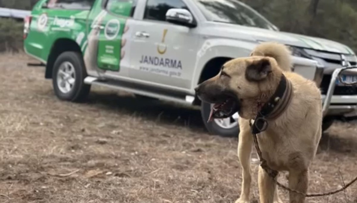 Burdur'da köpek dövüştüren 22 kişiye para cezası