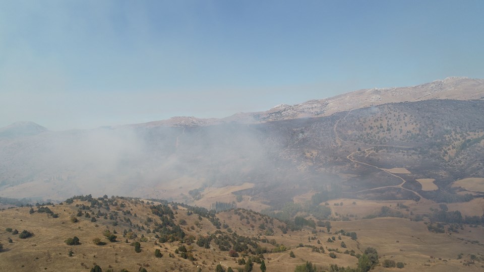 Sivas'ta otluk ve ağaçlık alanda yangın - 1