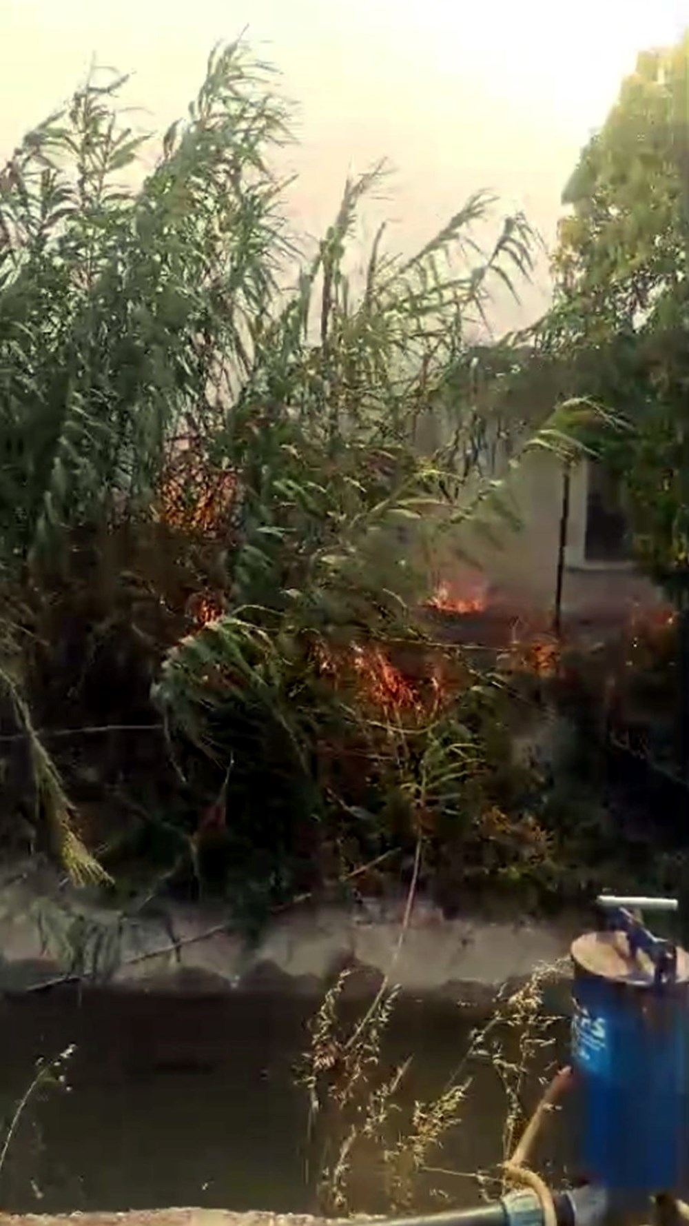 Bursa, Muğla ve Antalya'da orman yangını - 9