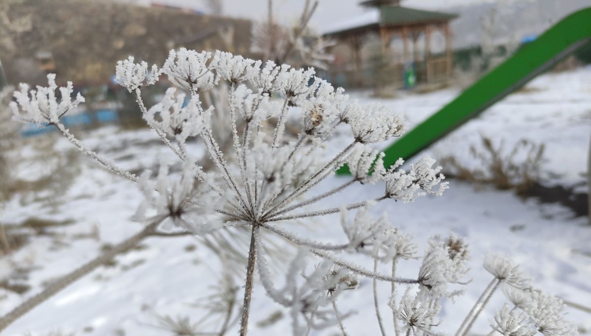 Sibirya değil Ardahan: Soğuktan araçlar çalışmadı