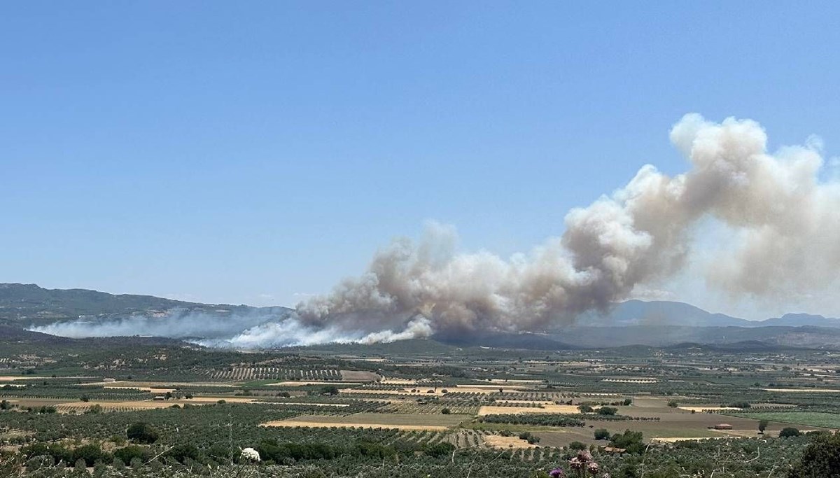 Söndürülen yangın yeniden başladı
