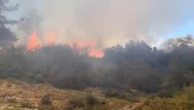 Muğla'da ormanlık alanda yangın çıktı