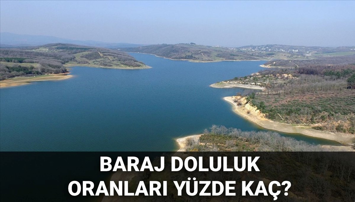 Baraj doluluk oranları 2025: İstanbul'da barajlar yüzde kaç dolu? 22 Haziran tarihli İSKİ baraj doluluk oranları