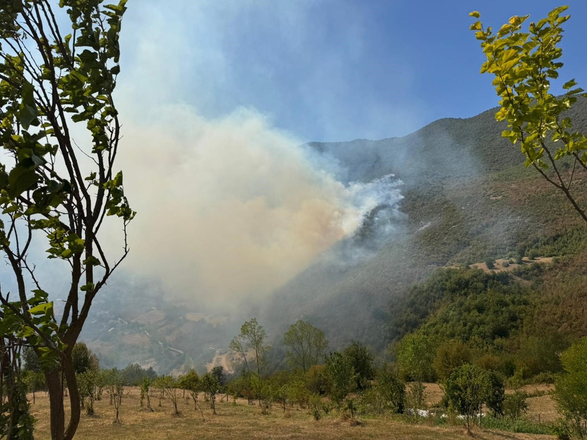 Rüzgar ve arazi şartları ekiplerin çalışmasını güçleştiriyor.