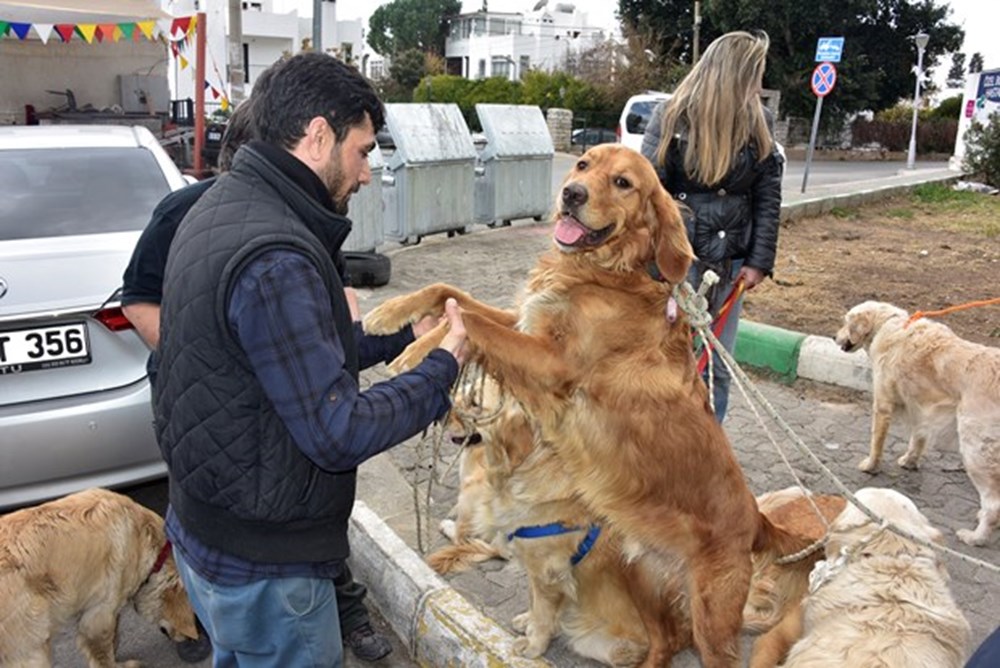 Golden Çetesi�nin yeni yuvası İstanbul�da NTV