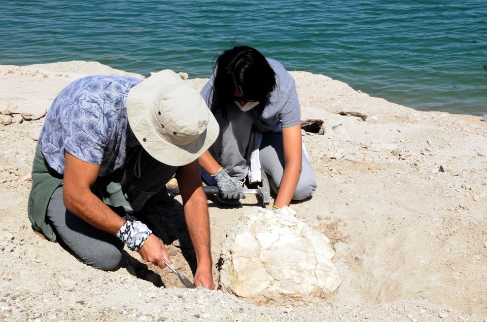 Kayseri’de 7,5 milyon yıllık yeni fosiller bulundu - 1
