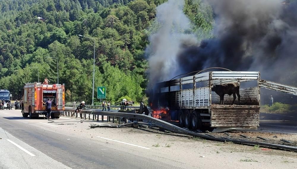 Otoyolda yangın: Ulaşım durdu