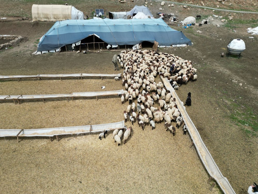 'Cehennem göçerleri' güçlü seyahate hazırlanıyor 78 oH0rTpHb6Uuil79voY4z7g