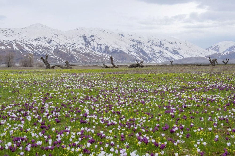 Güneşli Günler Kapıda: Bahar Beklentisi Gerçeğe Dönüşüyor 76 oHNvRw7OQU dXw0S Qeu w
