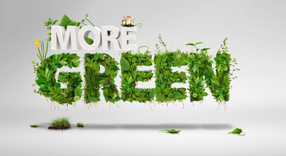 New deal. Плакаты биханс. No more green. Слоганы зеленых. Микки sr pelo.