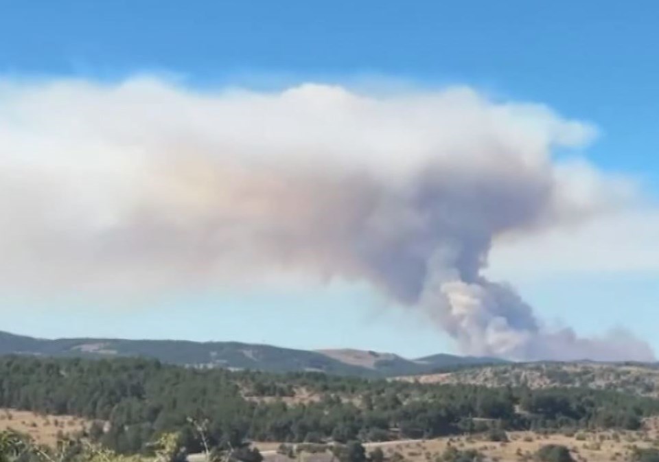 Bolu ve Ankara'da orman yangını - 1