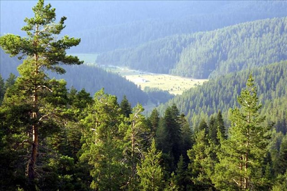 Türkiye'nin Milli Parkları (Türkiye'deki milli parkların listesi ve isimleri) - 33