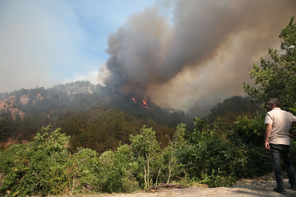Bolu, Manisa ve İzmir'de orman yangını: Çanakkale'deki yangın kontrol altında - 37