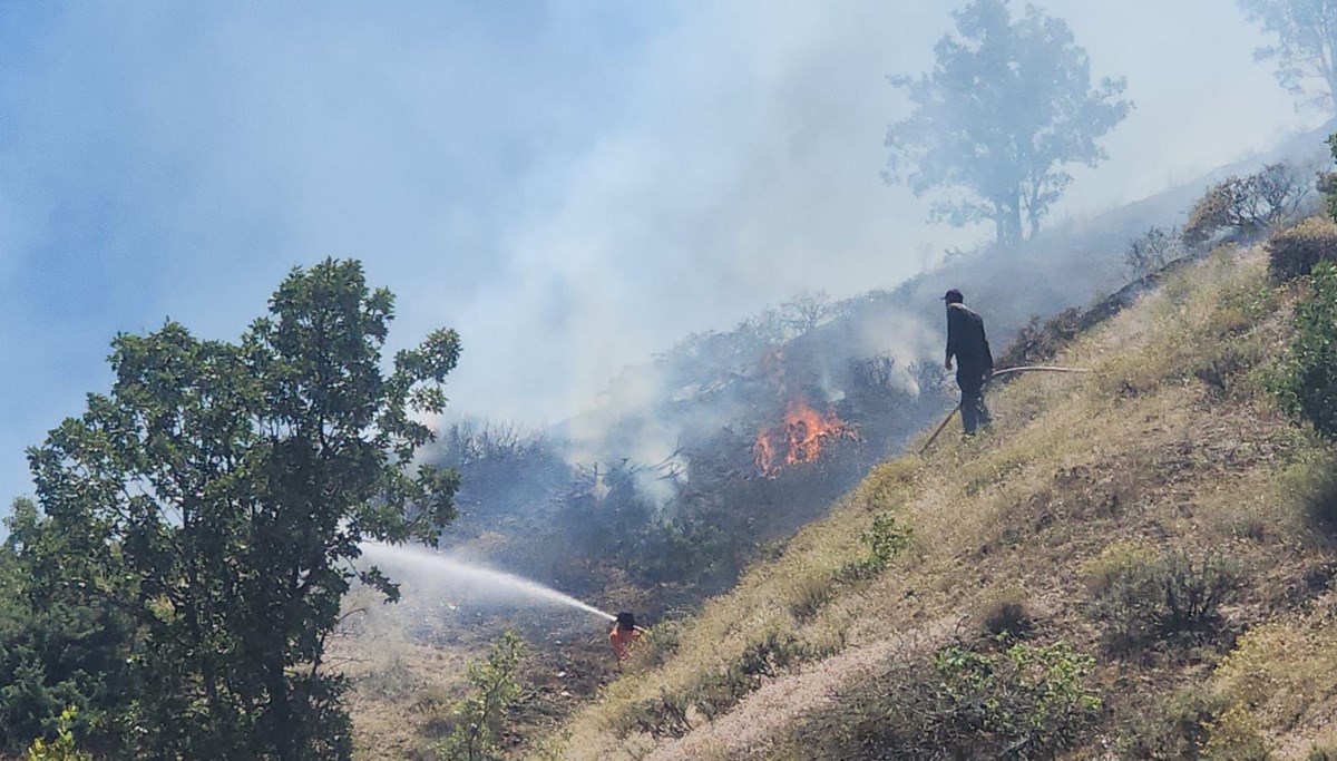 Bingöl'de orman yangını! Ekipler müdahale ediyor