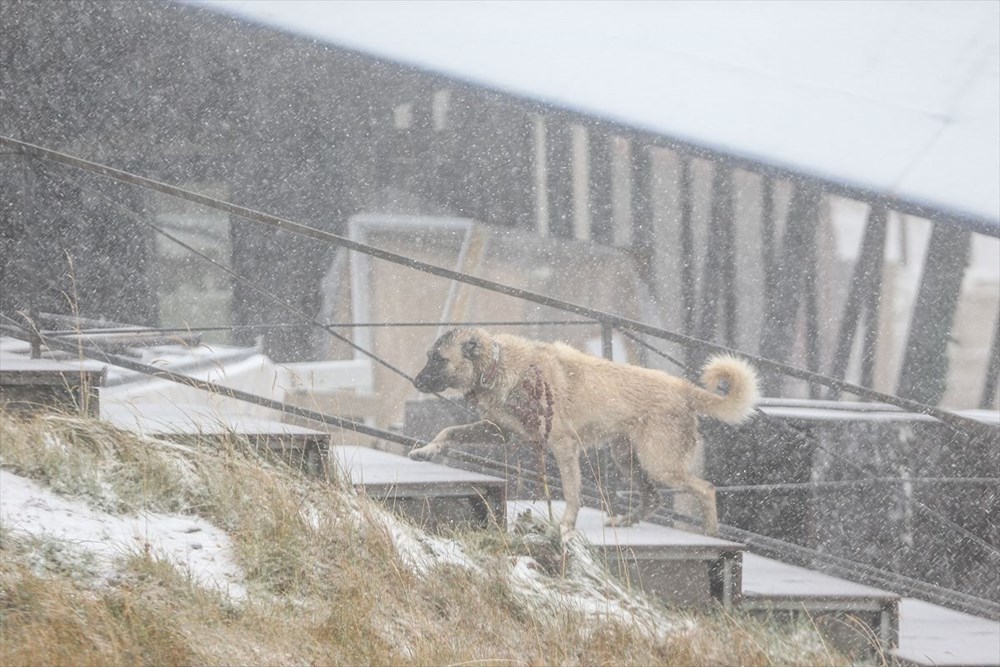 Yurttan manzaralar: Kar erken geldi - 26
