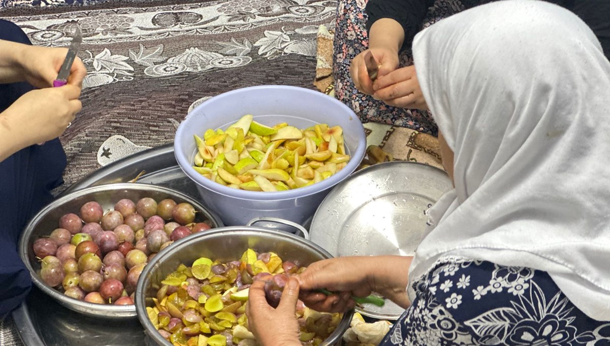Dut, erik, kayısı ve elmadan yapılıyor: Güneşte kurutulup kış için hazırlanıyor